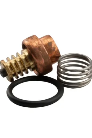 Buy Today Watts LF70A-RK 1/2-3/4 Repair Kit